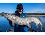 Rapala Gold Miner 12cm Rapala Gold Miner 12cm